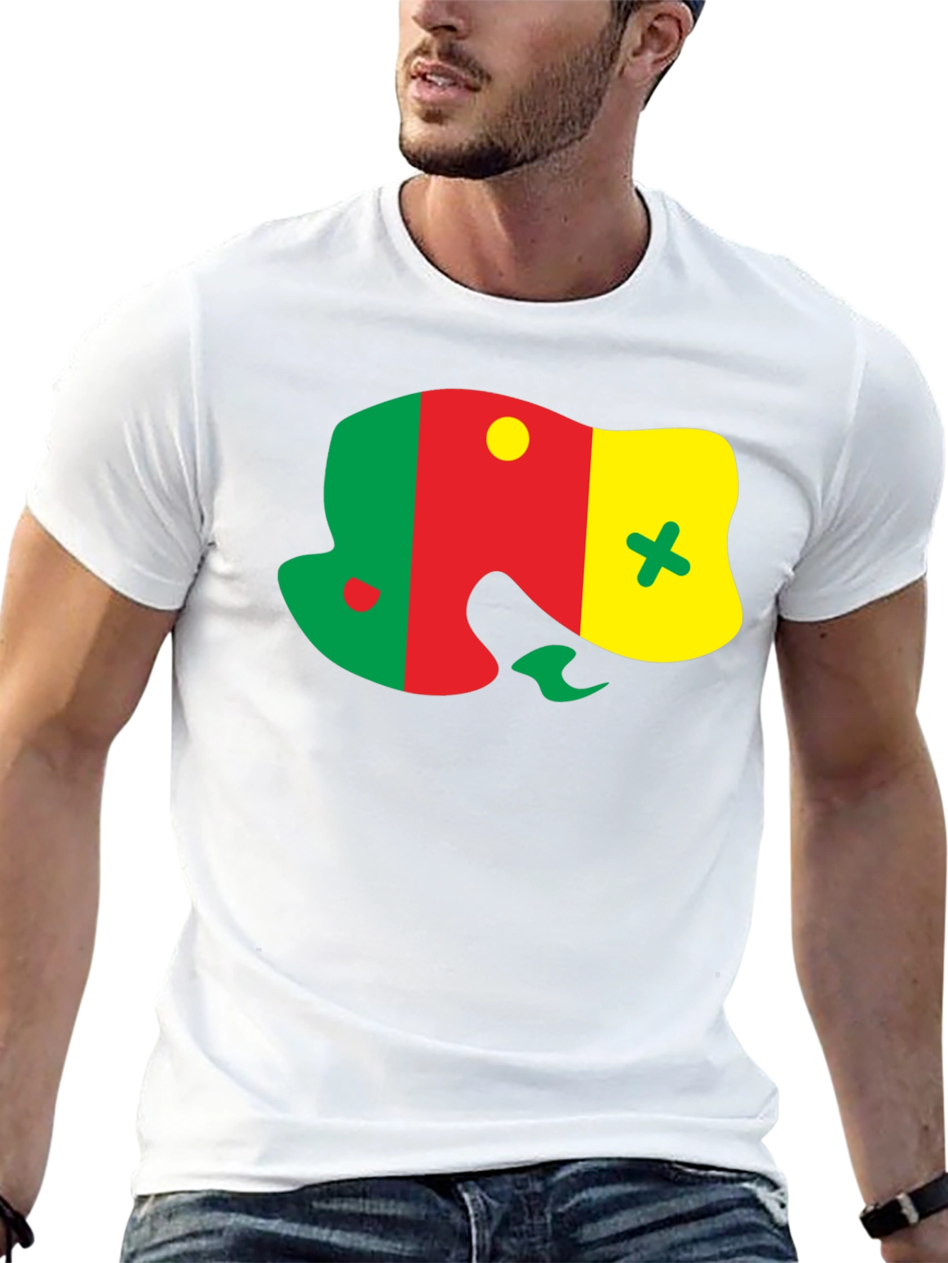 Senegal Flag Graphic T-Shirt
