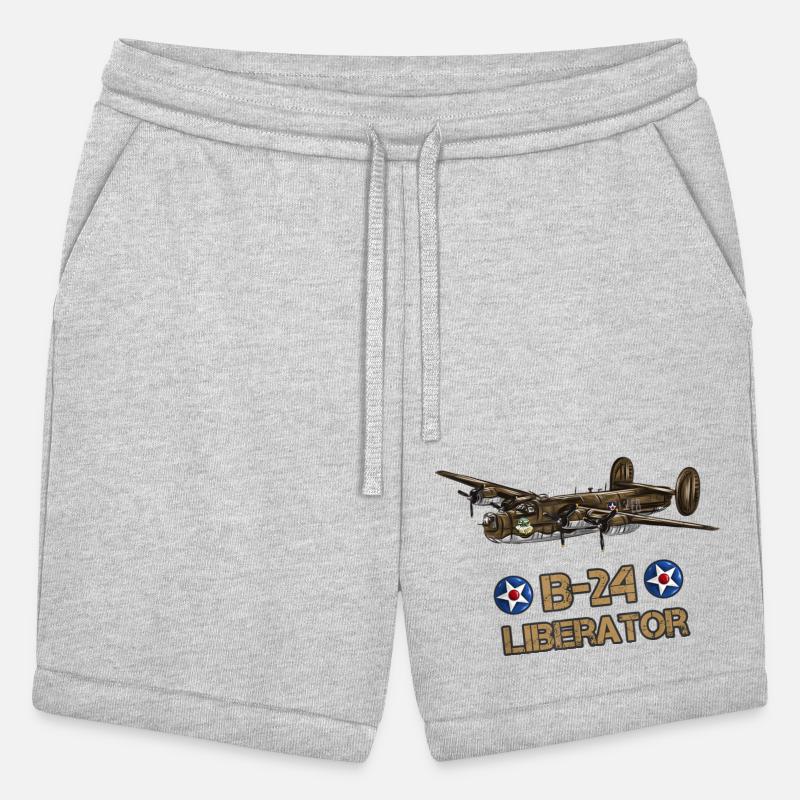 Aviation Liberator American Heavy Bomber