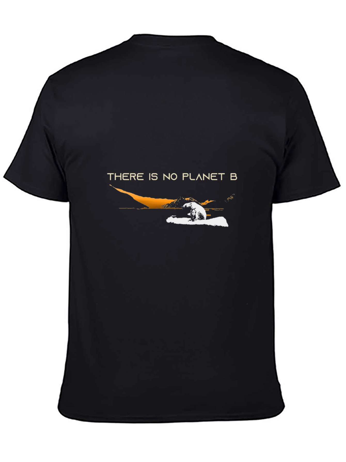 There Is No Planet B Graphic Tee