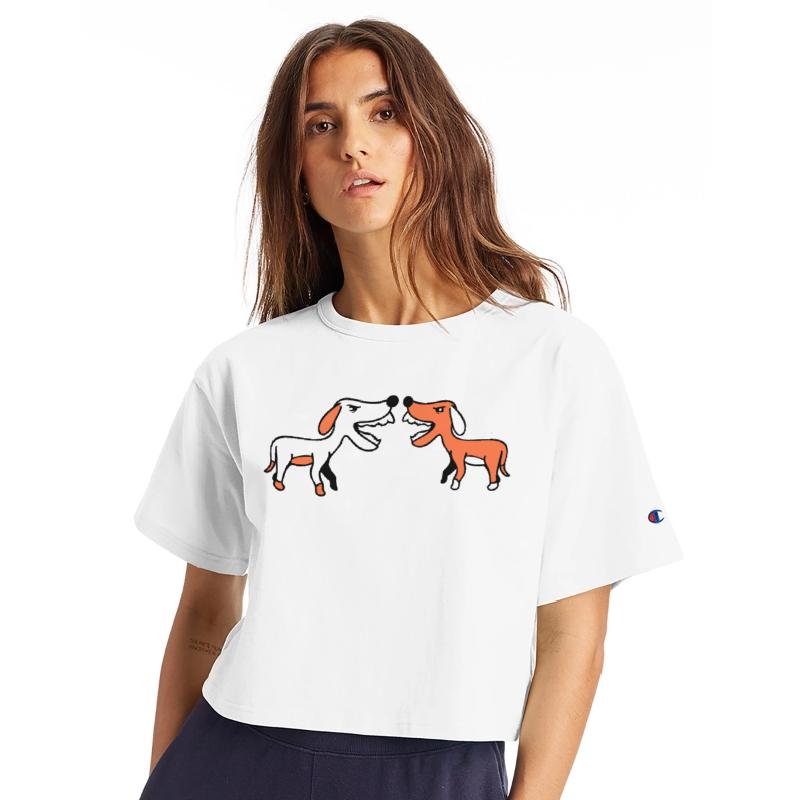 2 Dogs Barking Loudly At Each Other Bad Fight Bite