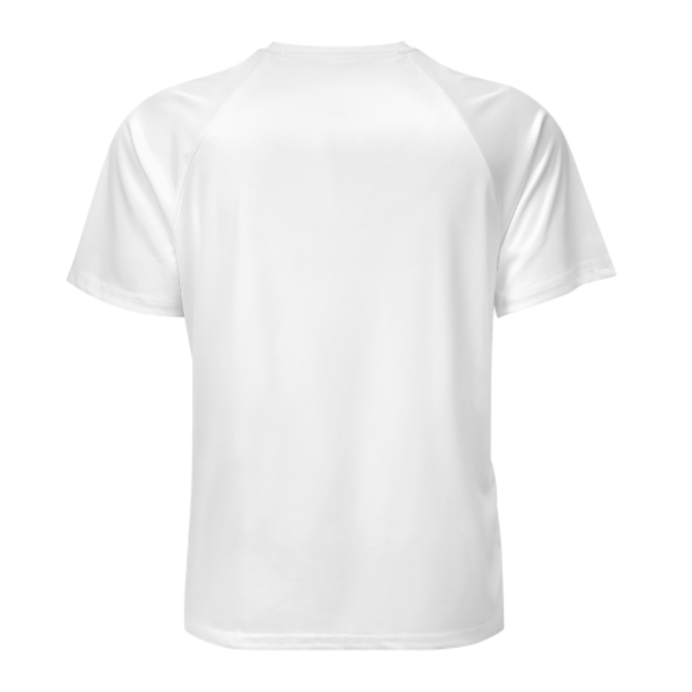 Funny Goose Dad Birthday T-Shirt | Cute Dad Celebration Graphic Tee(z980)