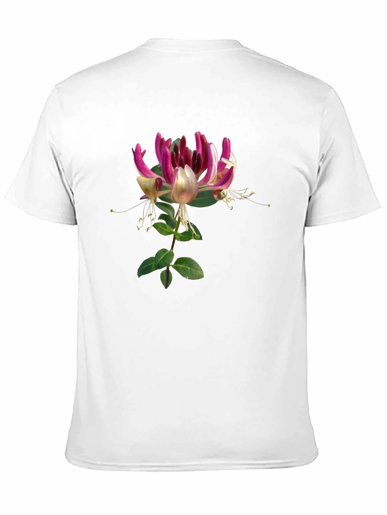 Floral Honeysuckle T-Shirt - Black Cotton Tee