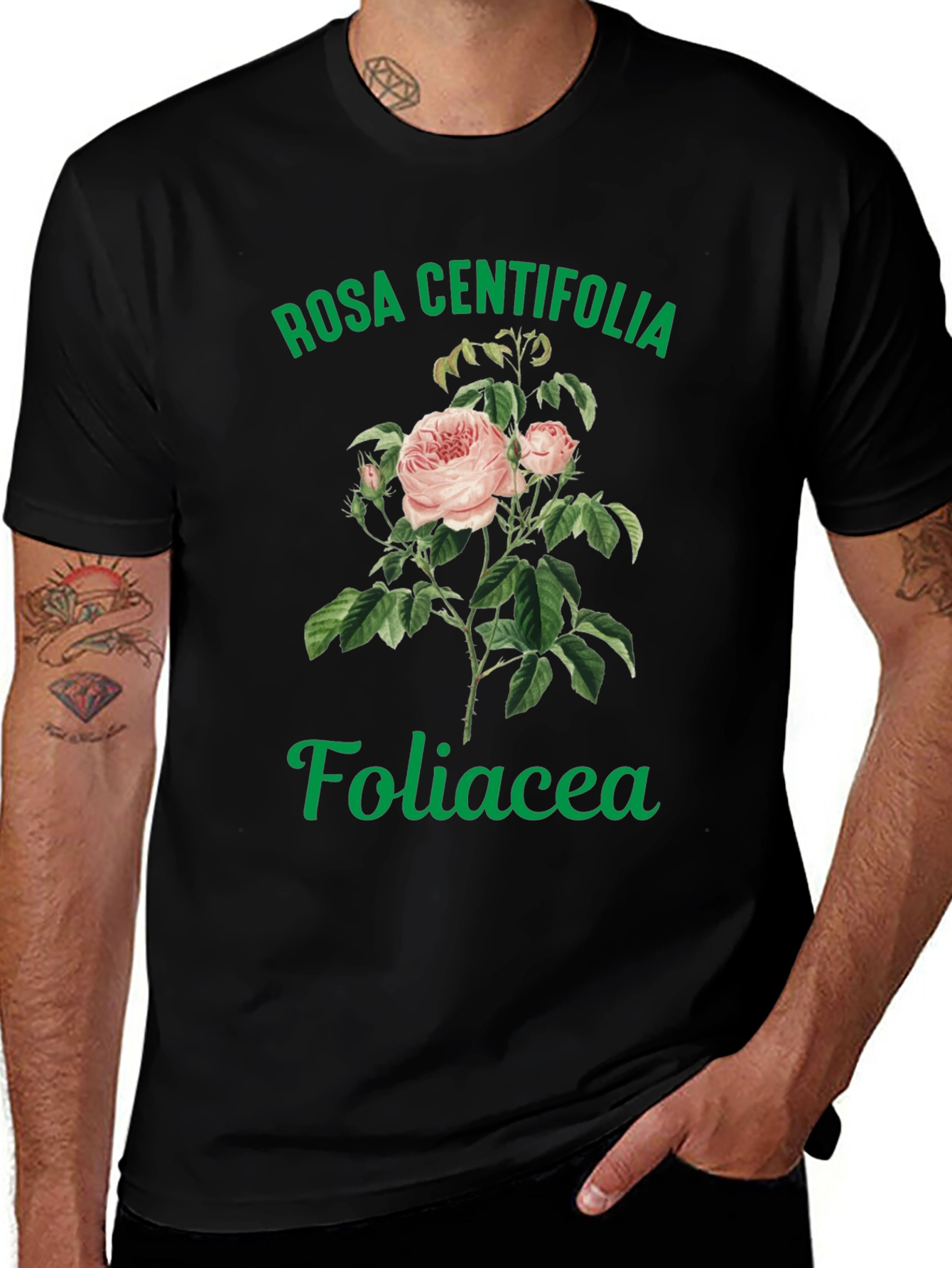 Rosa Centifolia Foliacea Graphic Tee