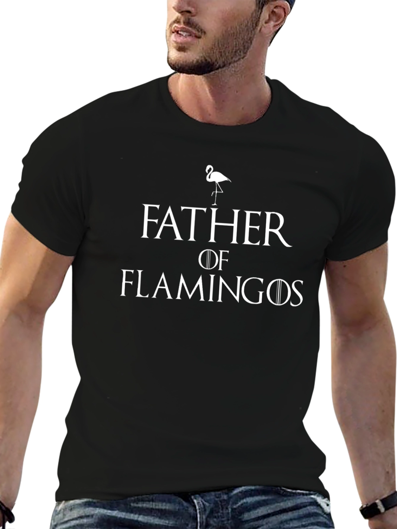 Father of Flamingos T-Shirt - Novelty Graphic Tee
