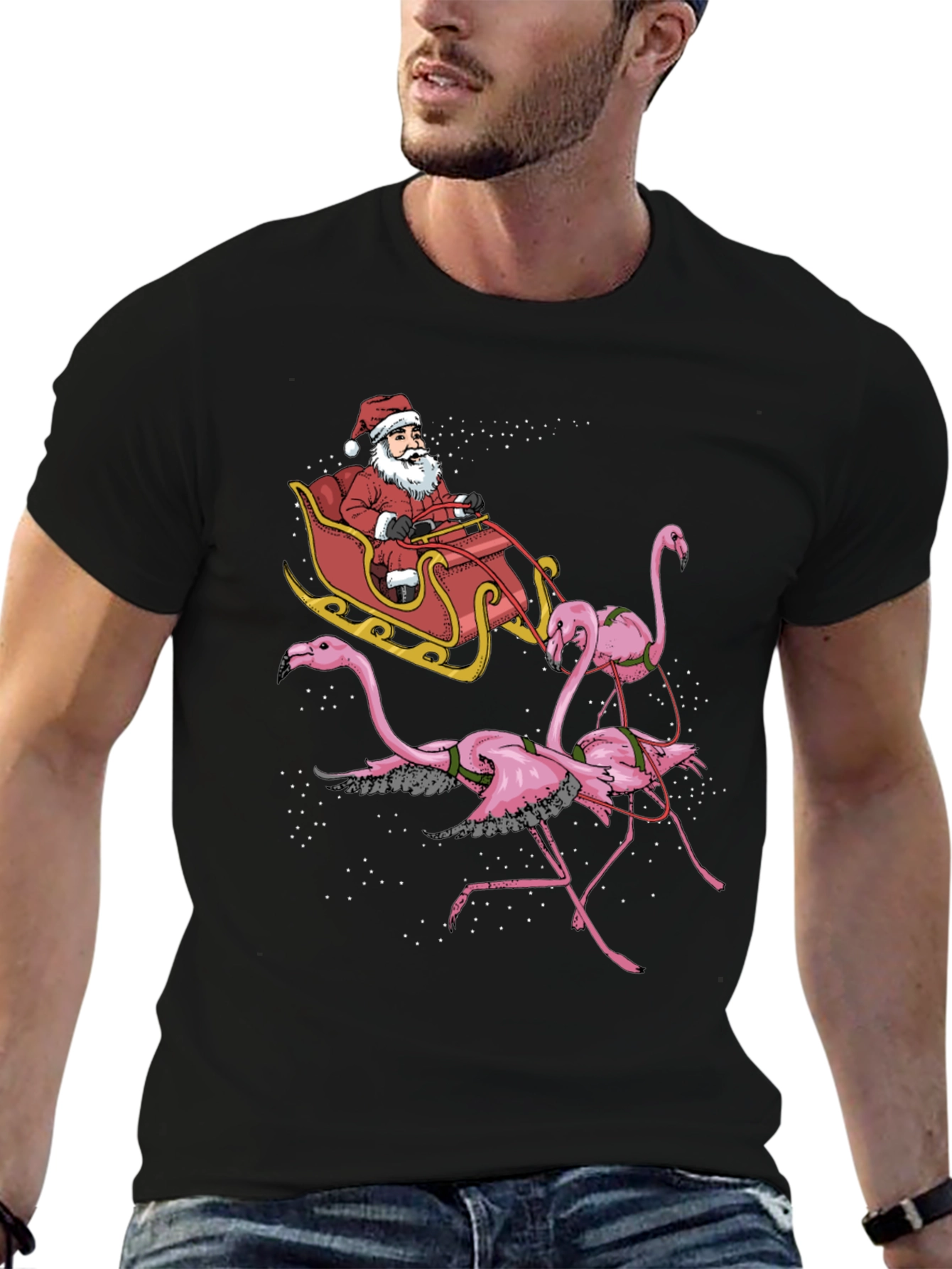Flamingo Santa Sleigh T-Shirt