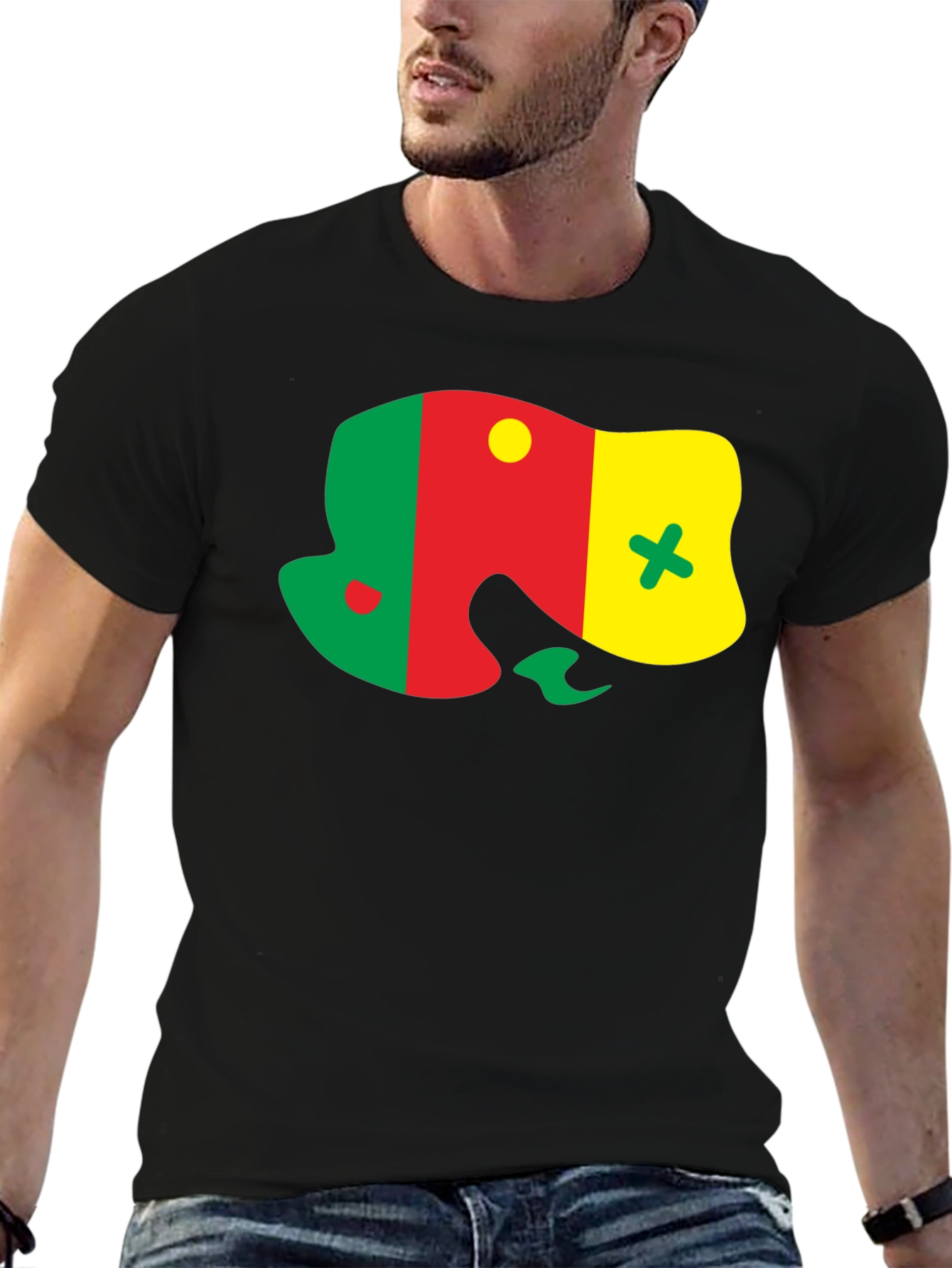 Senegal Flag Graphic T-Shirt