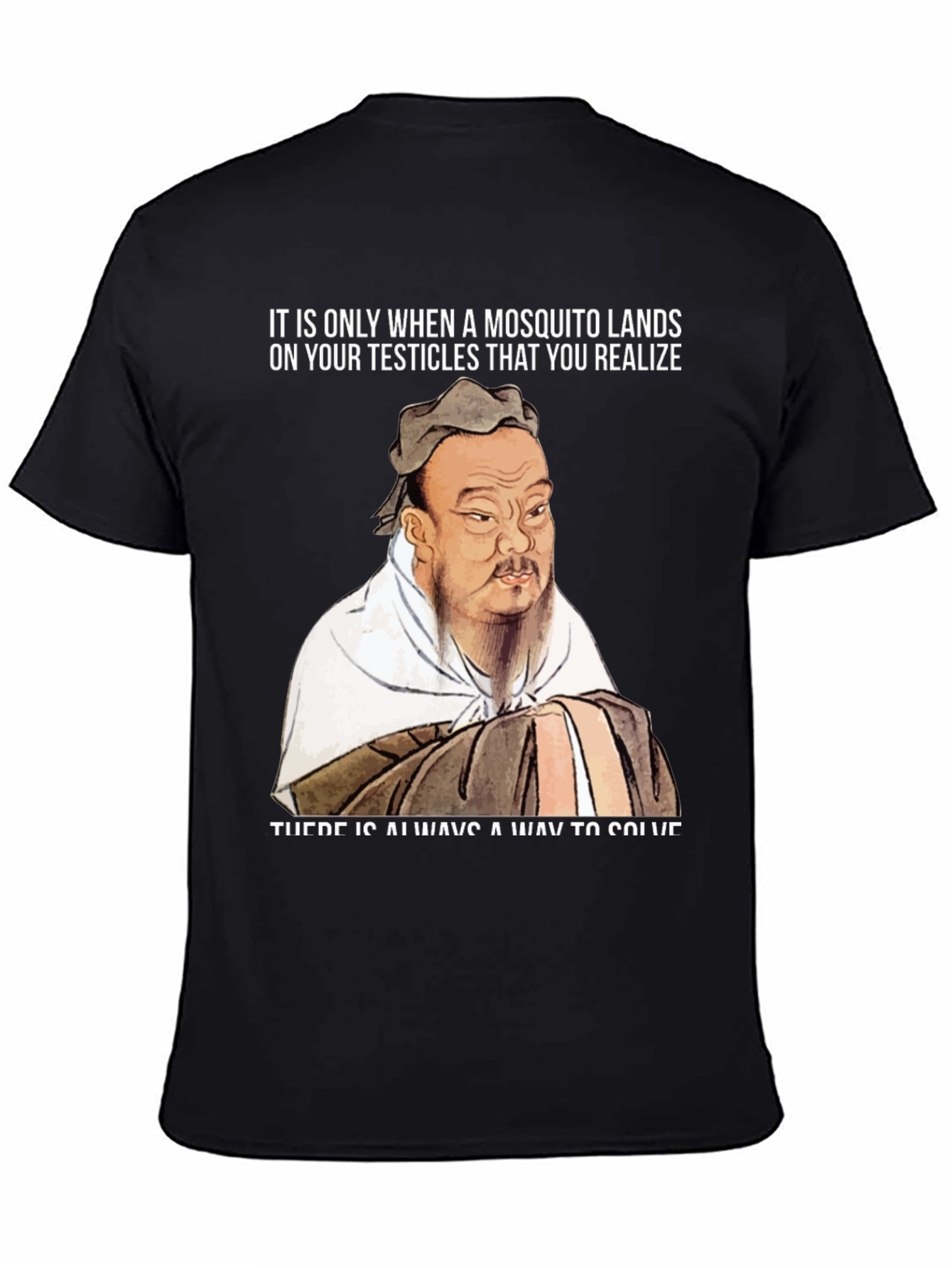 Confucius Mosquito T-Shirt: Solve Problems!