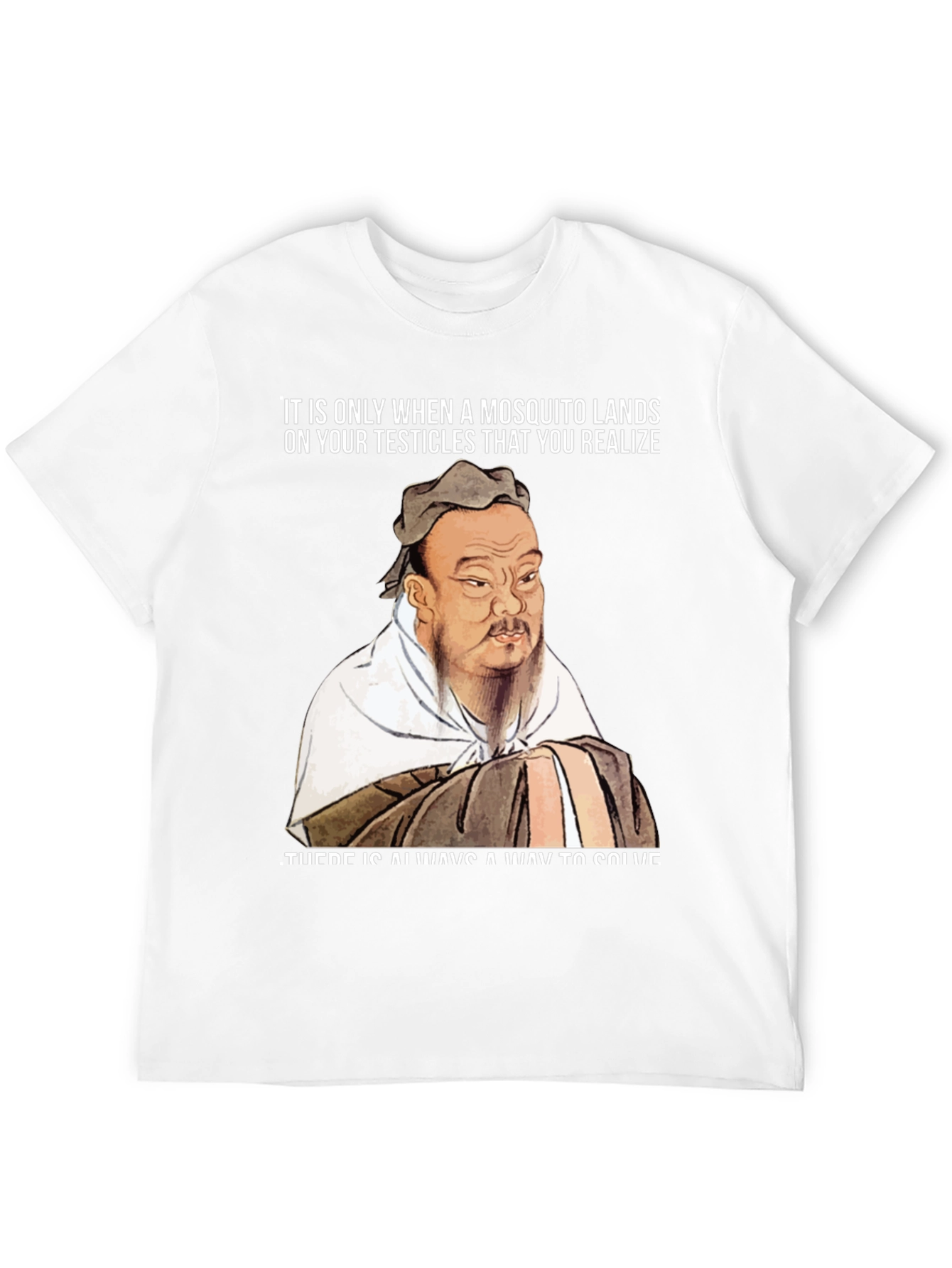 Confucius Mosquito T-Shirt: Solve Problems!