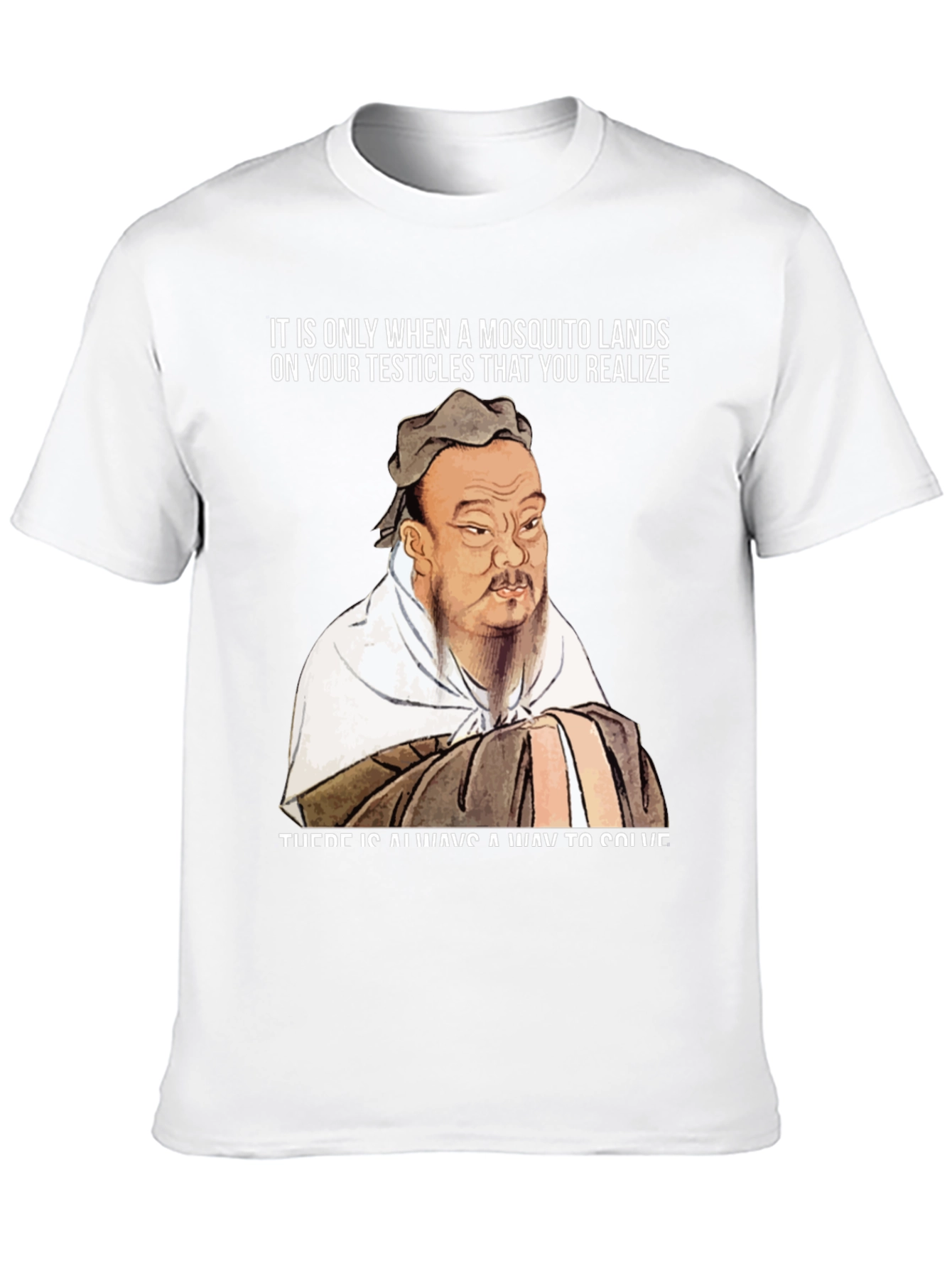Confucius Mosquito T-Shirt: Solve Problems!