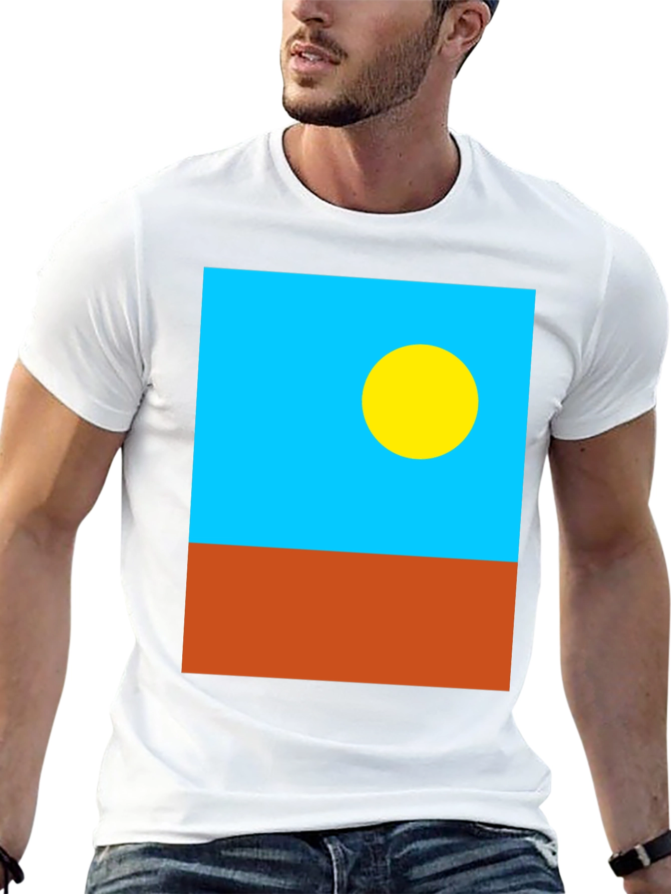Palau Flag Graphic T-Shirt - Black Cotton Tee
