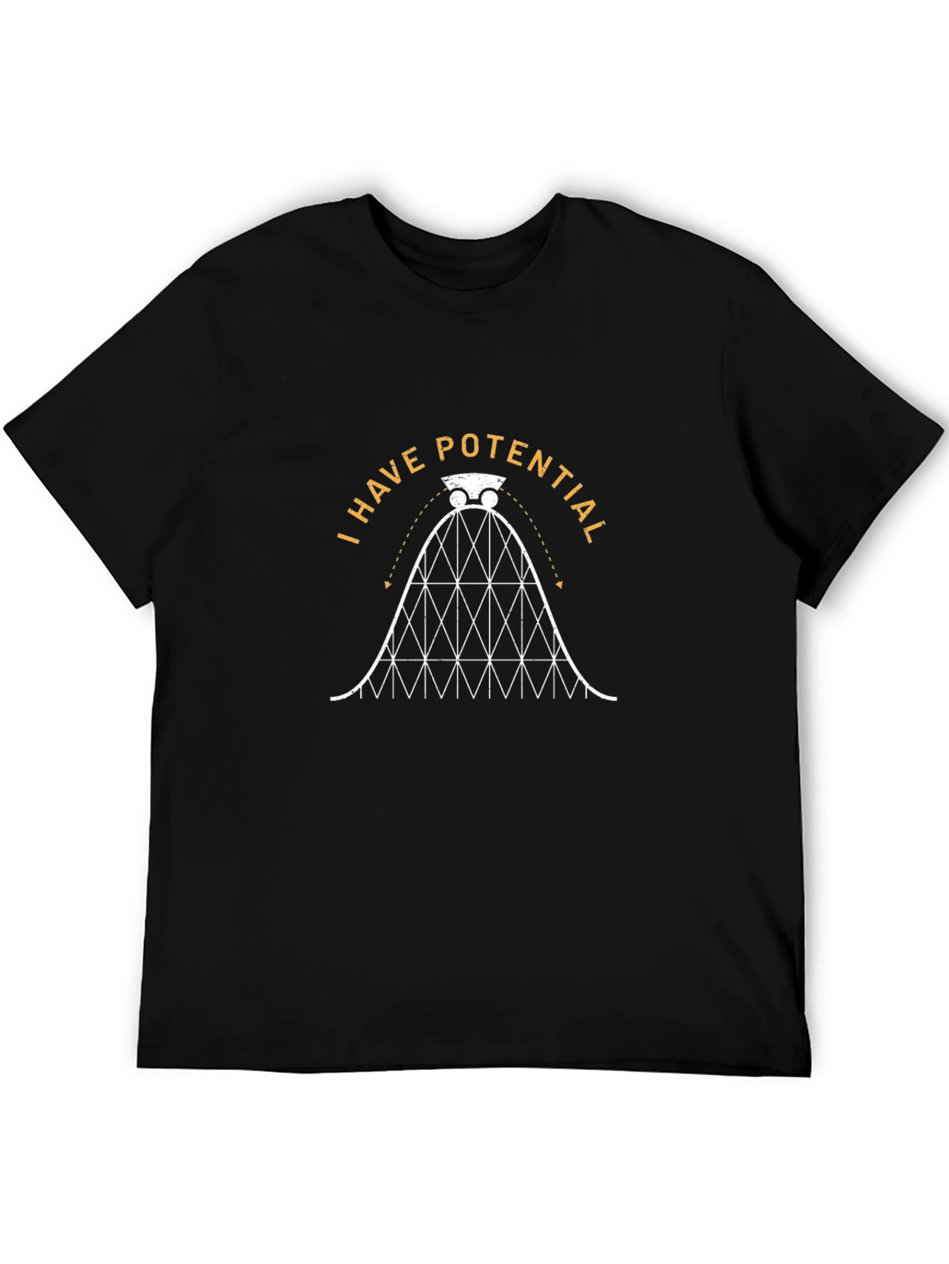 Potential Rollercoaster Graphic Tee - Black