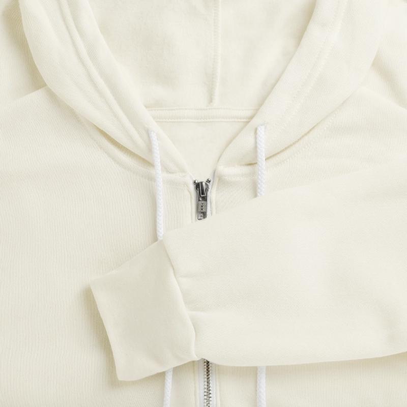 Adventurous Otter Pirate Illustration