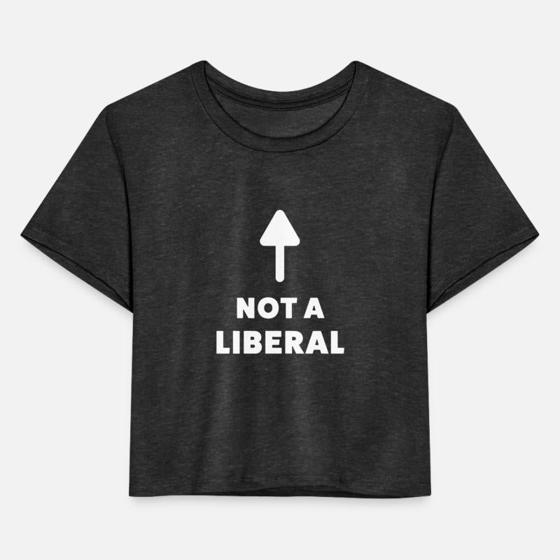 Anti Democrat Anti Liberal