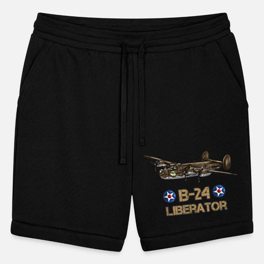 Aviation Liberator American Heavy Bomber