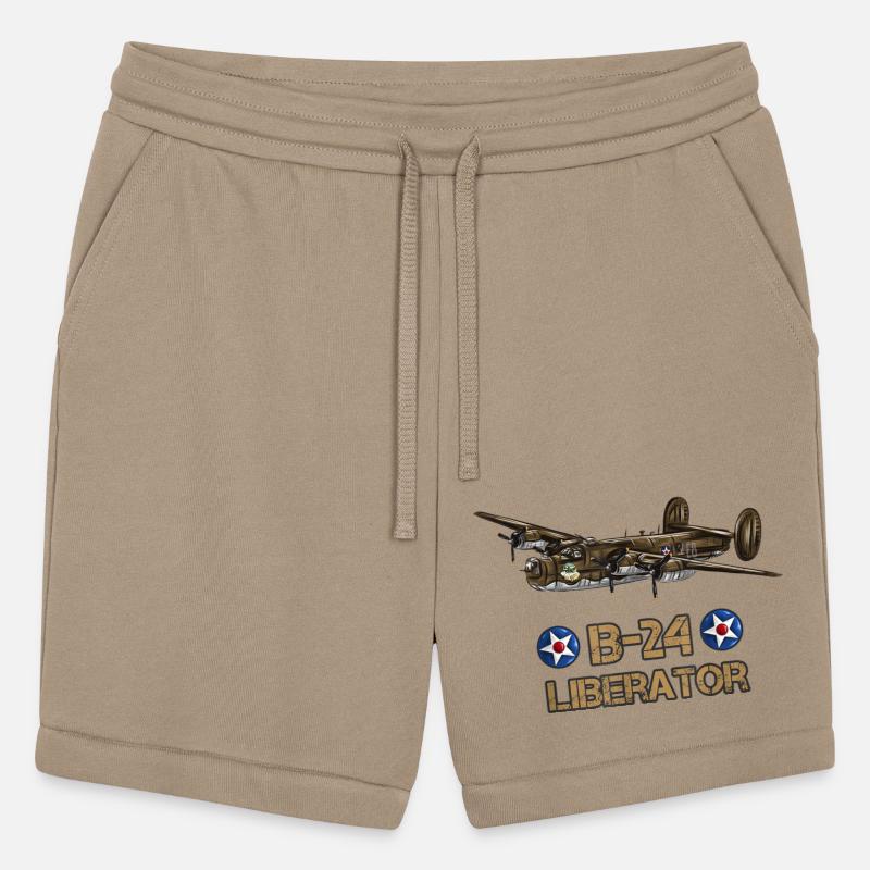 Aviation Liberator American Heavy Bomber