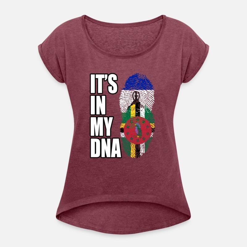 Basotho And Dominica Mix Heritage DNA Flag