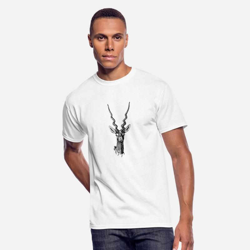 Blackbuck Animal With Big Horns