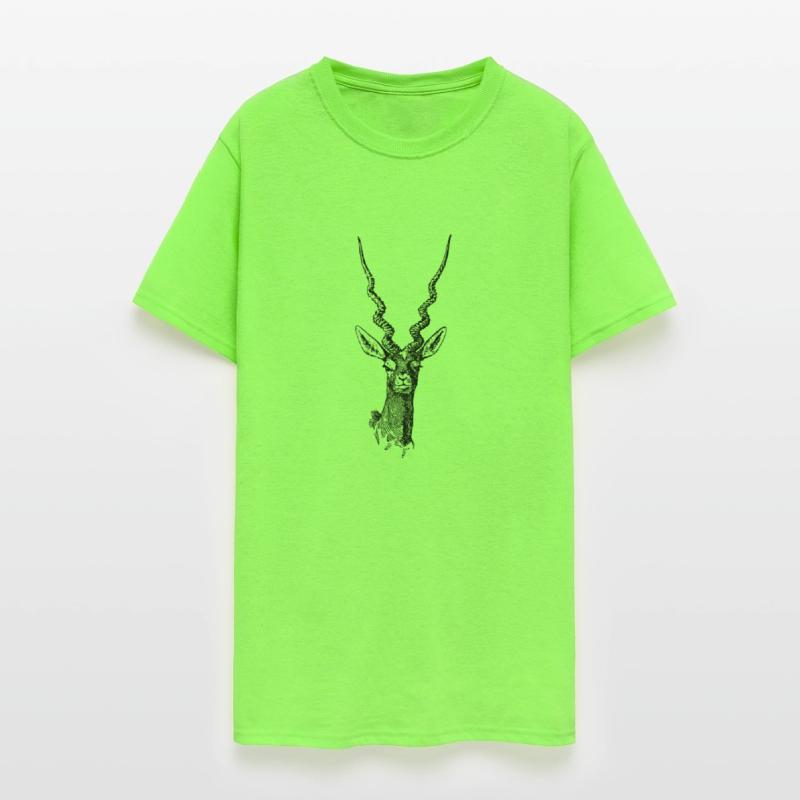 Blackbuck Animal With Big Horns