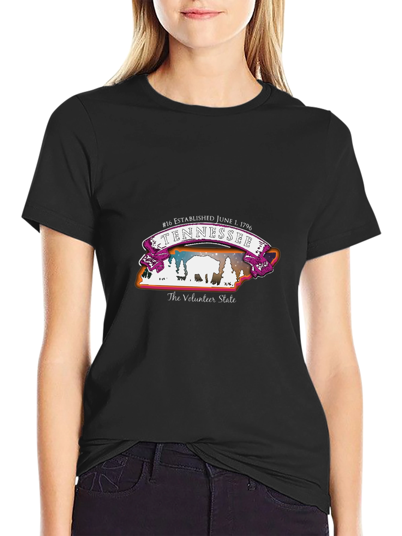 Tennessee Volunteer State T-Shirt