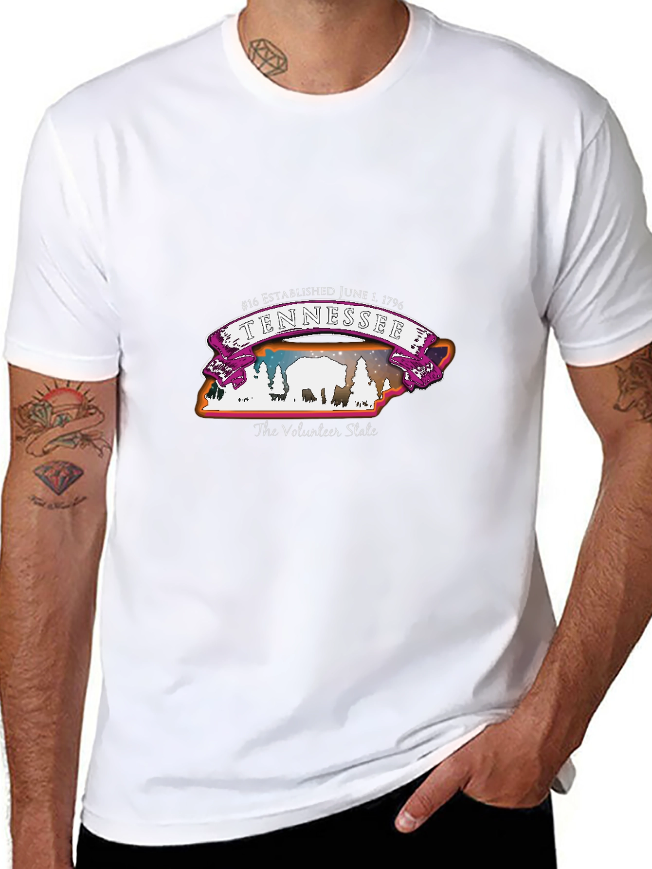 Tennessee Volunteer State T-Shirt