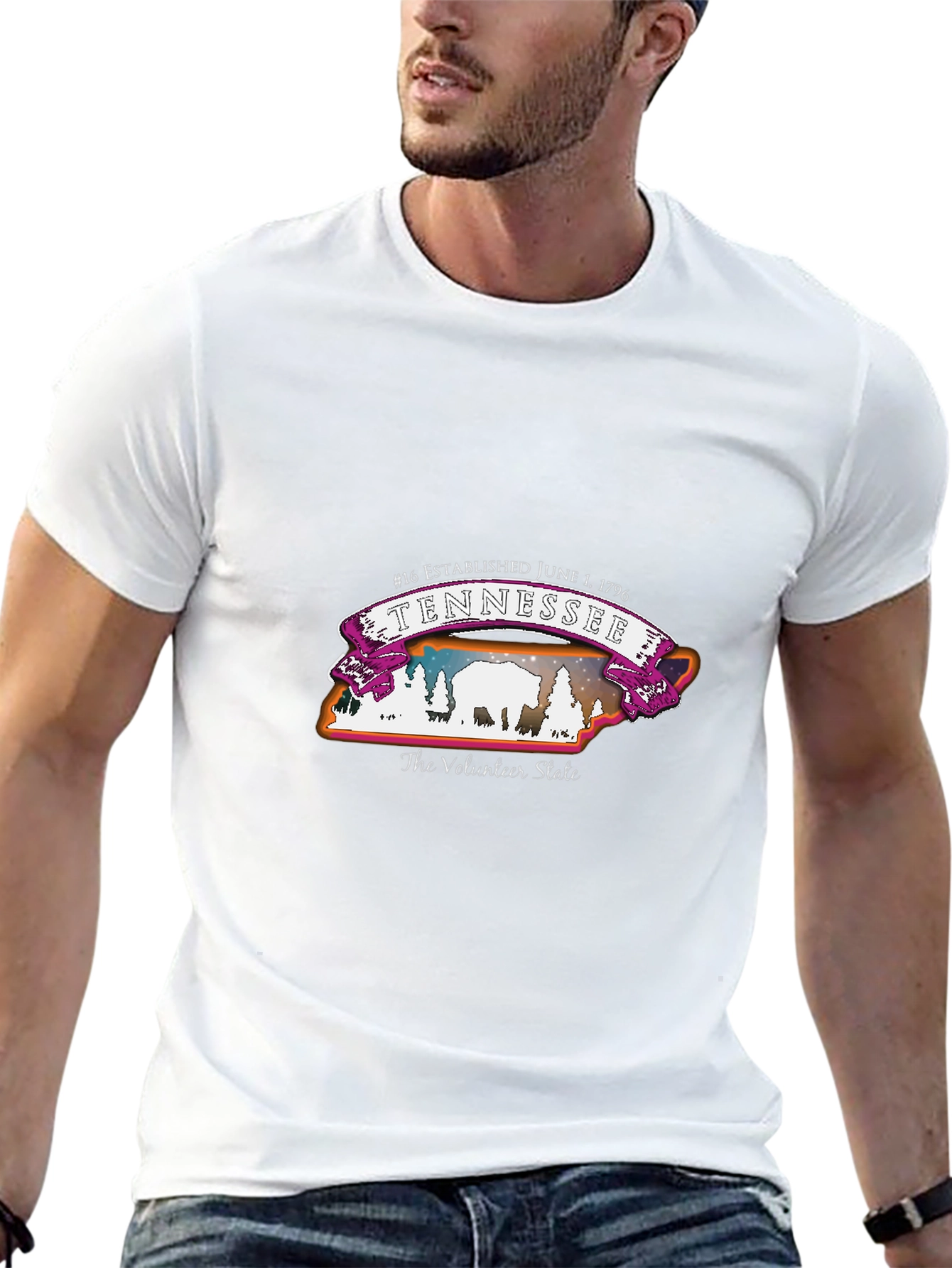 Tennessee Volunteer State T-Shirt