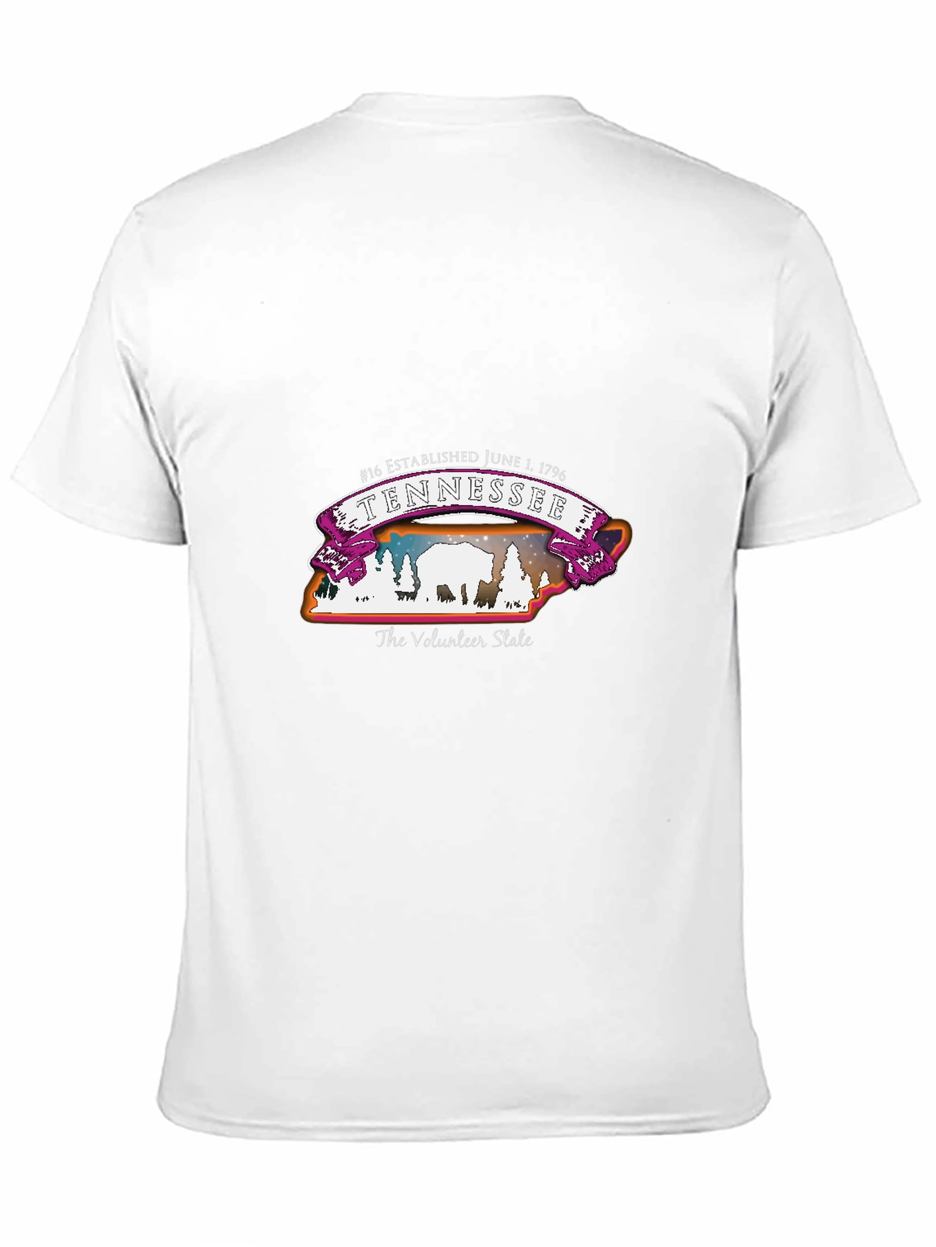 Tennessee Volunteer State T-Shirt