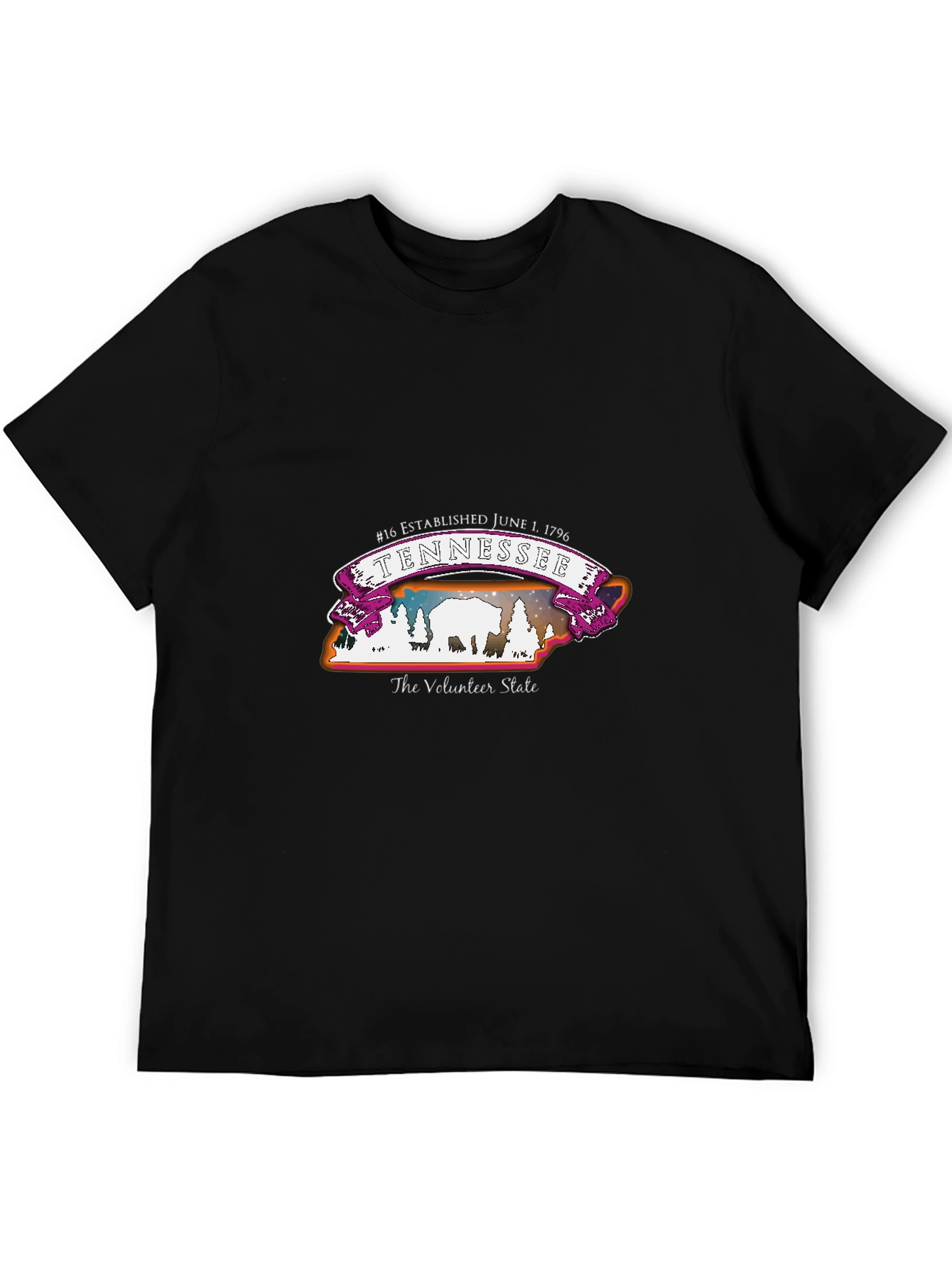Tennessee Volunteer State T-Shirt