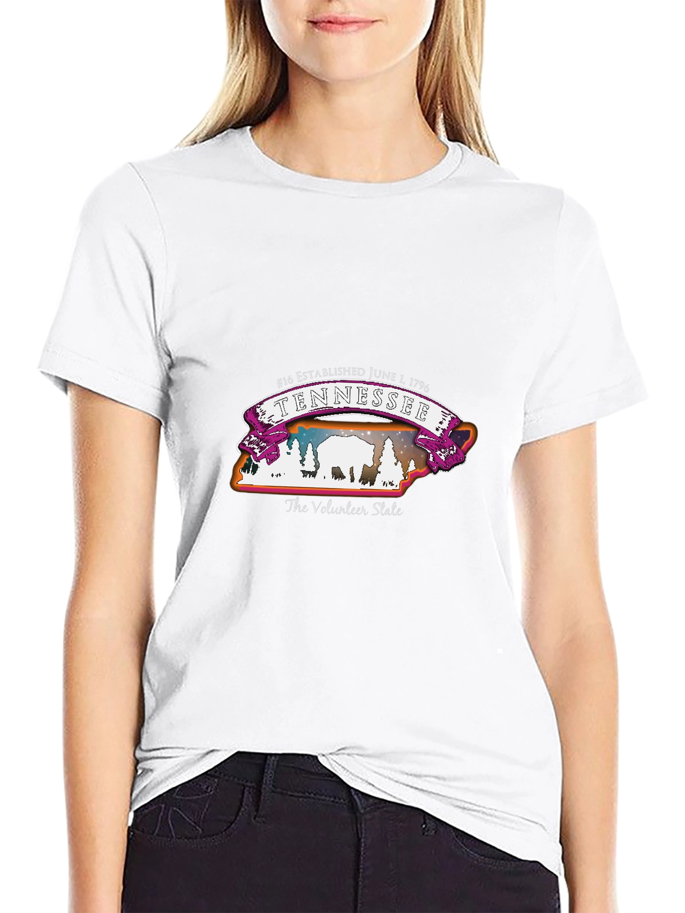 Tennessee Volunteer State T-Shirt