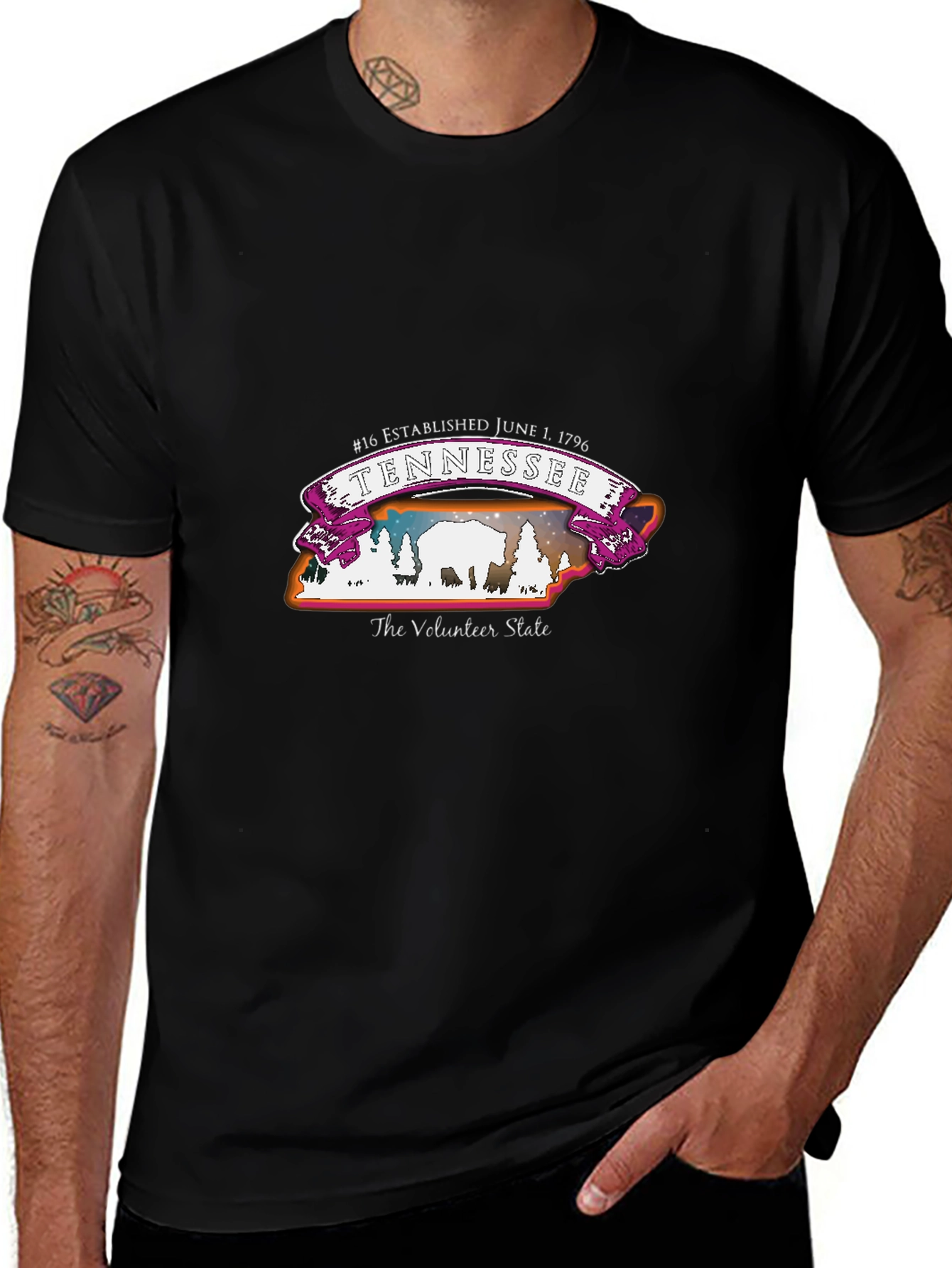 Tennessee Volunteer State T-Shirt