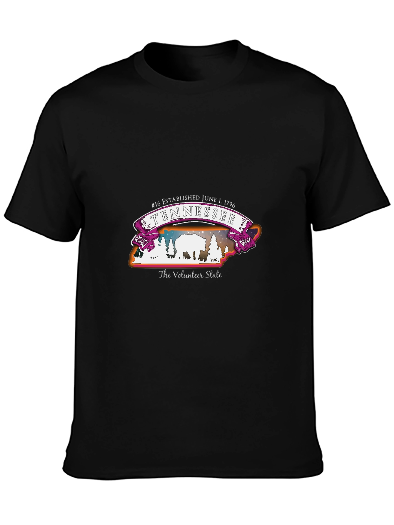 Tennessee Volunteer State T-Shirt