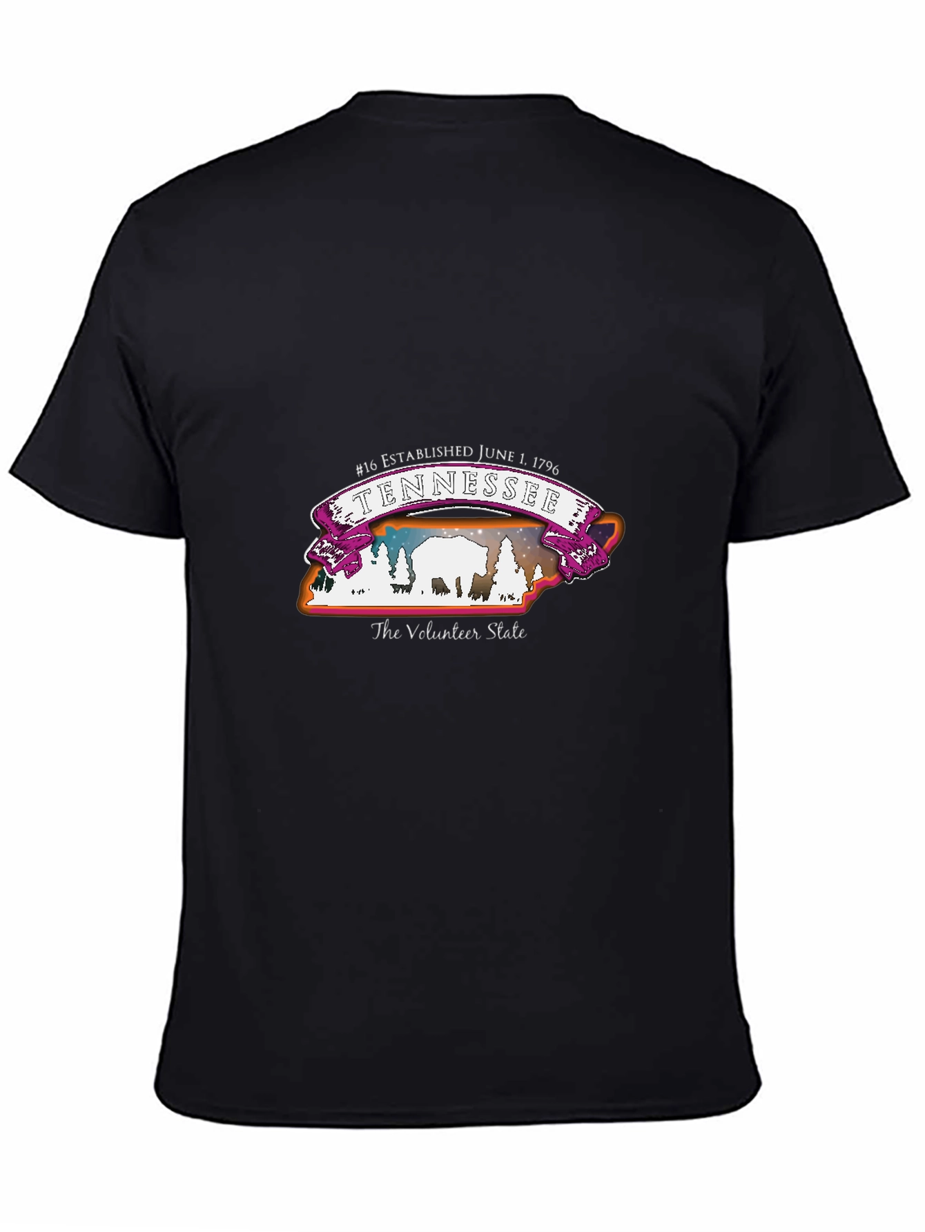 Tennessee Volunteer State T-Shirt