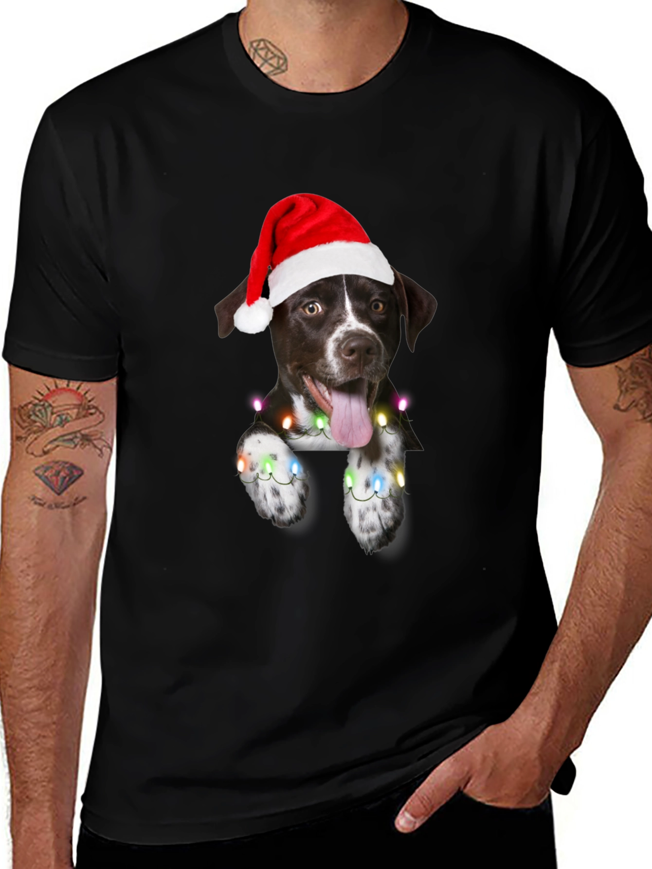 Festive Dog Tee - Christmas Lights & Santa Hat