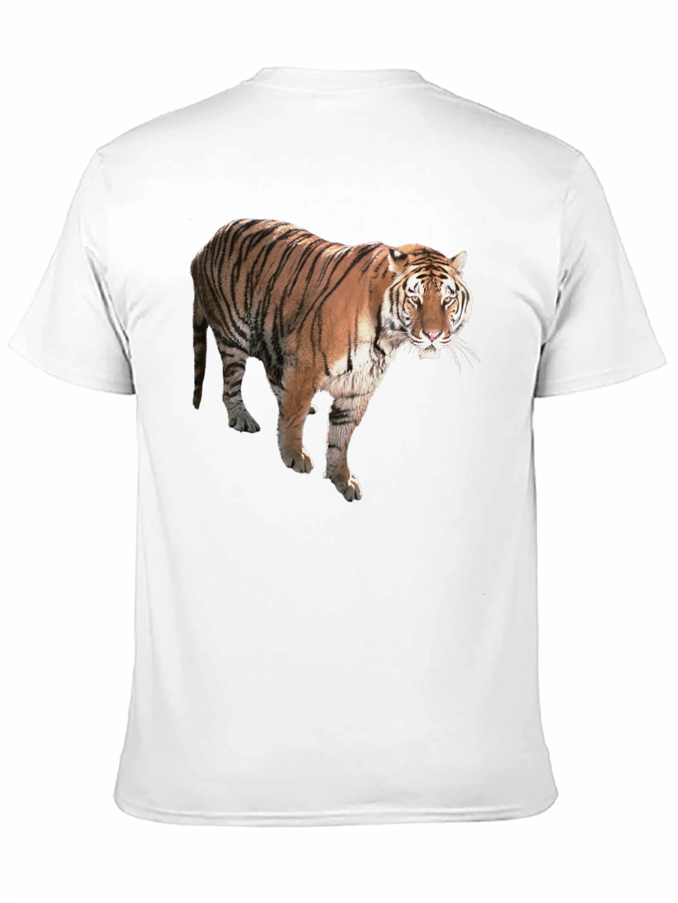 Tiger Graphic Black T-Shirt