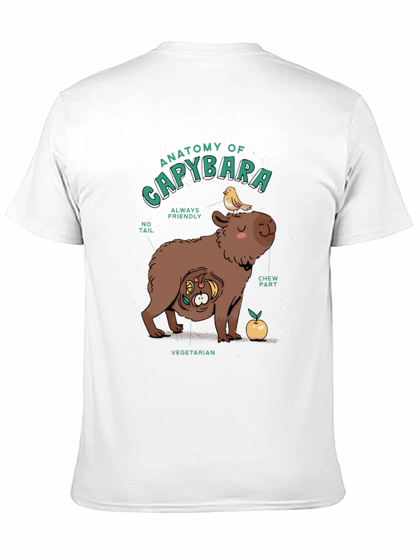 Anatomy of a Capybara Graphic T-Shirt
