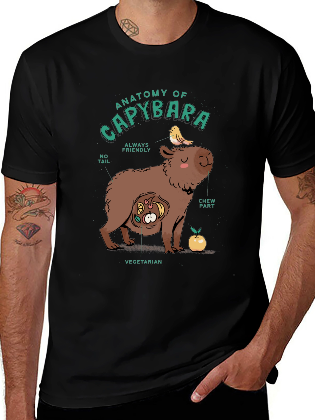 Anatomy of a Capybara Graphic T-Shirt