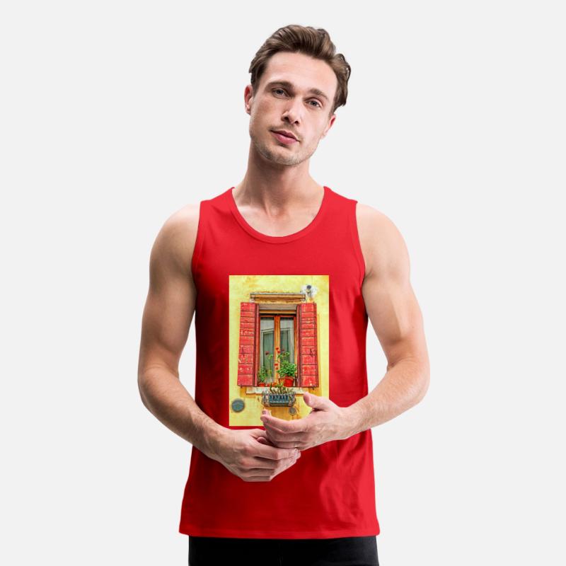 Windows of Venice Italy 9672