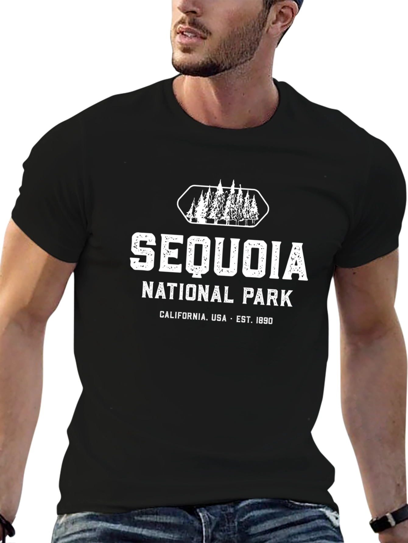 Sequoia National Park T-Shirt - Black
